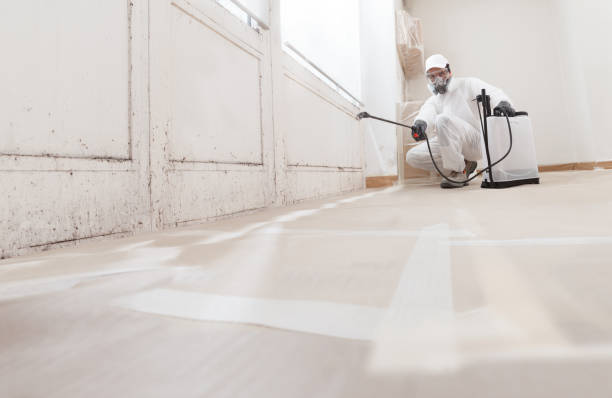 24/7 Emergency Mold Testing experts in Lyndhurst, VA