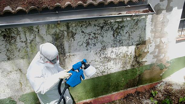 Top rated local Mold Remediation specialists in Lyndhurst, VA